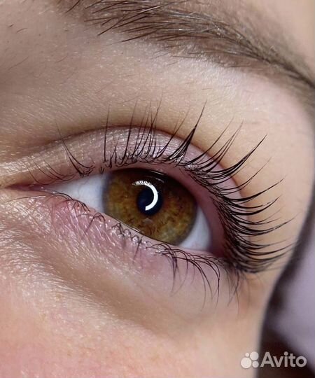 Бровист+ ду / Ламинирование ресниц