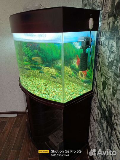 Аквариум