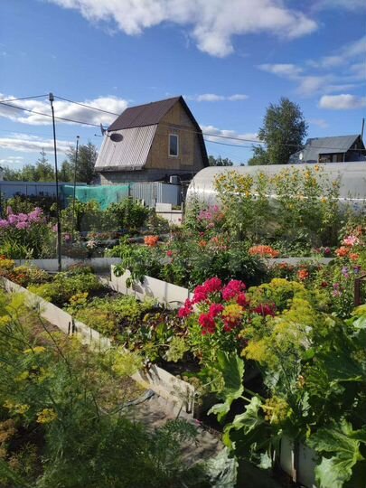 Дом 29,5 м² на участке 4,9 сот.