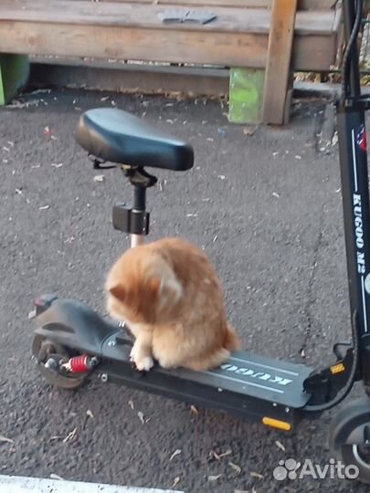 Электросамокат kugoo m2