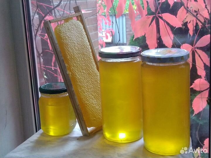 Натуральный мёд своя пасека