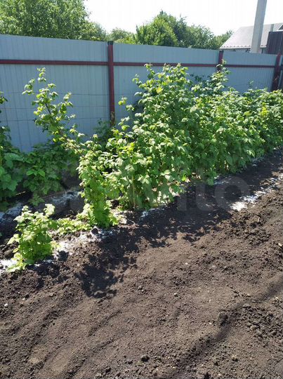 Дача 24 м² на участке 4 сот.