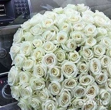 Высокие Розы Гиганты Доставка Круглосуточно