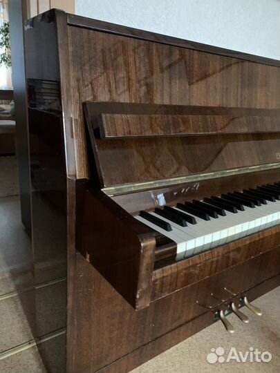 Фортепиано Petrof