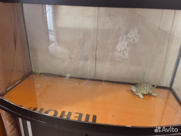 Аквариум с тумбой на 80литров бу