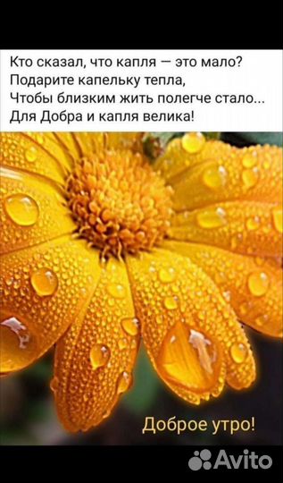 Одежда детская