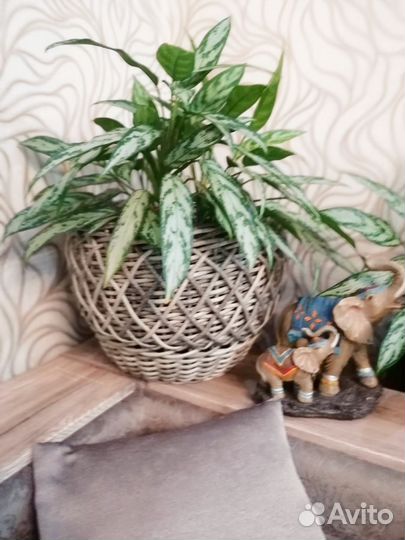 Кашпо из искусственного ротанга