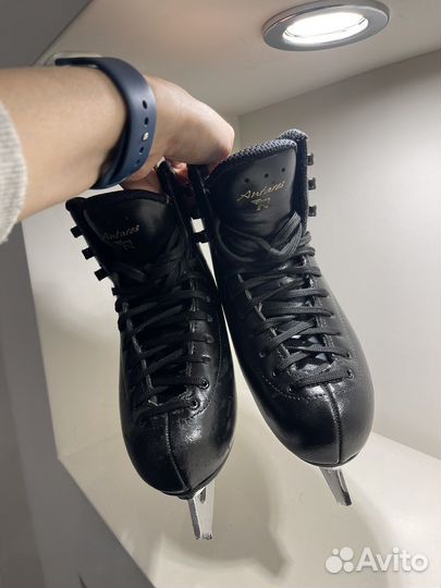 Фигурнве коньки Risport Antares 215