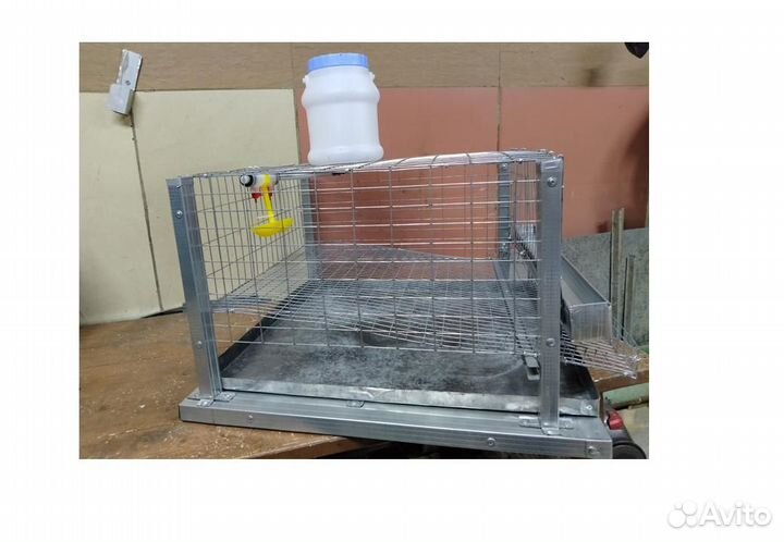 Клетки для перепелов