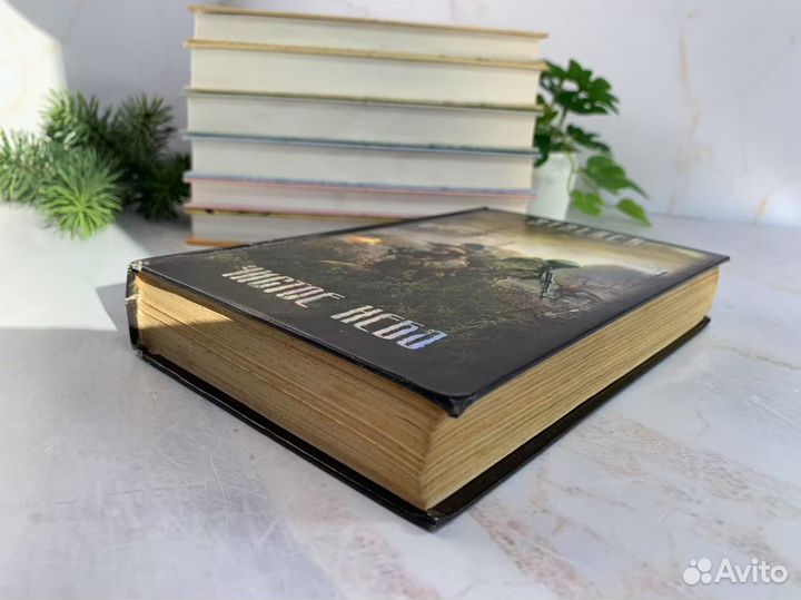 Чистое небо - сборник рассказов. Сталкер