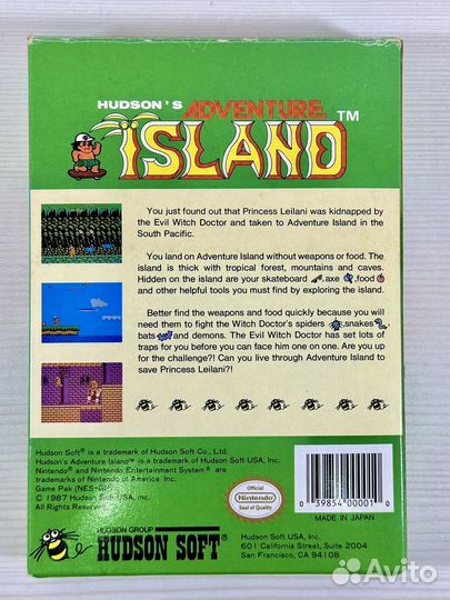 Hudson's Adventure Island NES