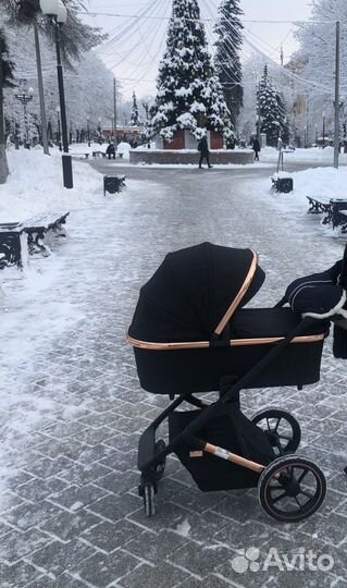 Коляска 2 в 1 Moon