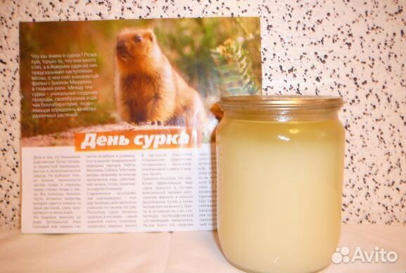 Жир сурка байбака