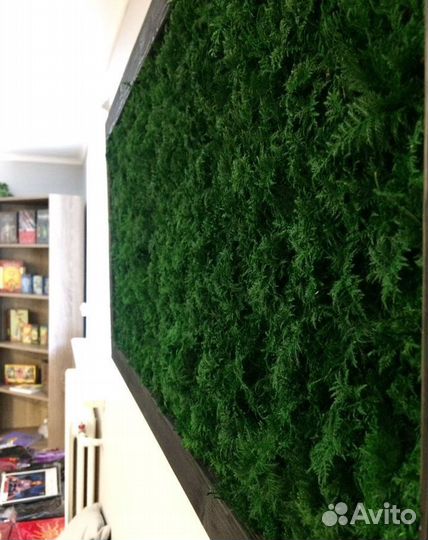 Вертикальное озеленение