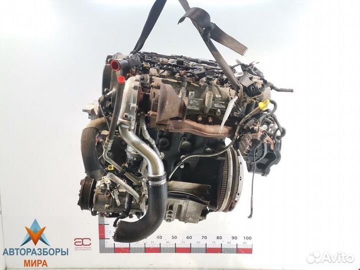 Тнвд Opel Insignia (A) 2012 55597787