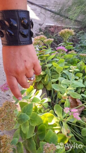 Браслет из кожи крокодила