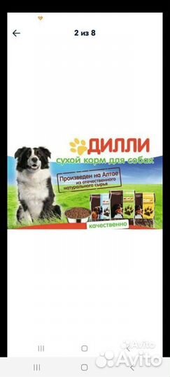 Сухой корм для собак любых пород Дилли