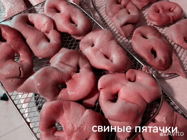 Сушеные лакомства для собак