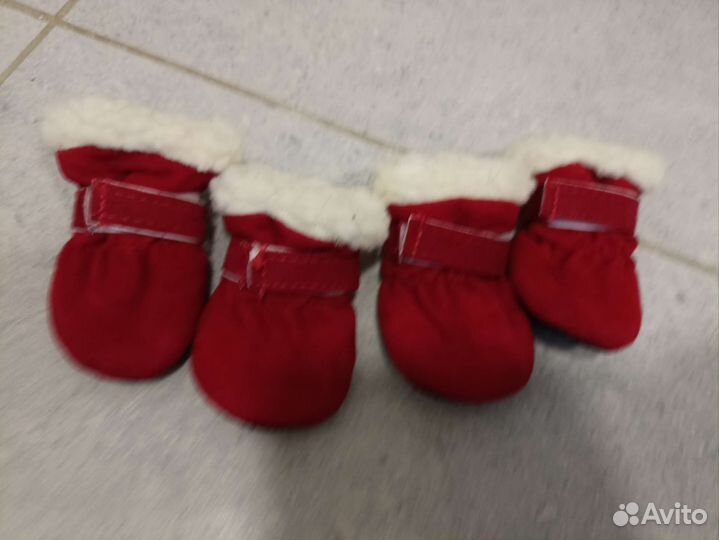 Вещи на собаку мелкой породы