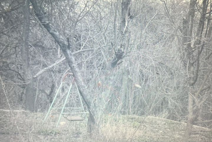 Дача 15 м² на участке 6 сот.