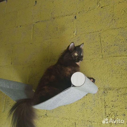 Зоогостиница для ваших питомцев