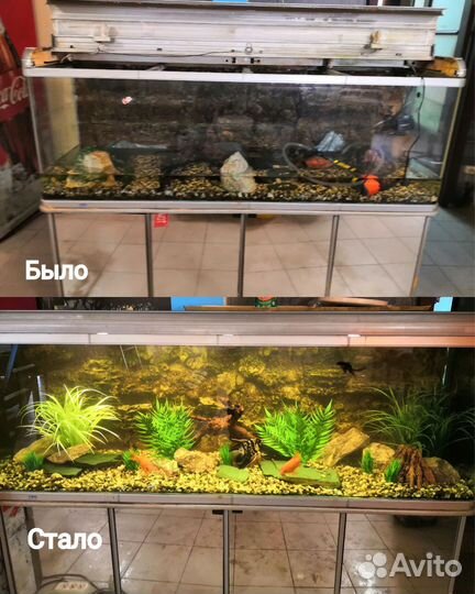 Обновление Аквариума