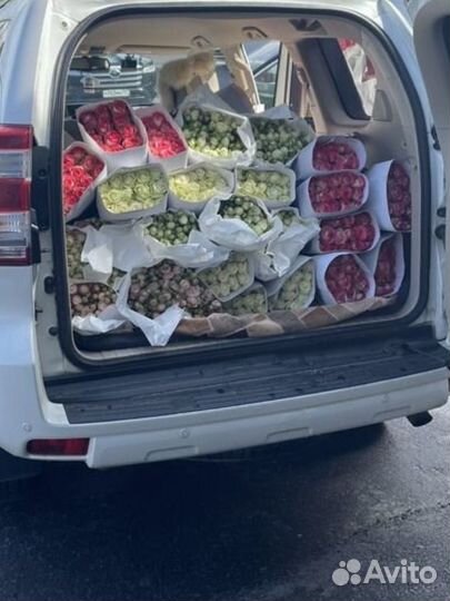 Цветы оптом и в розницу