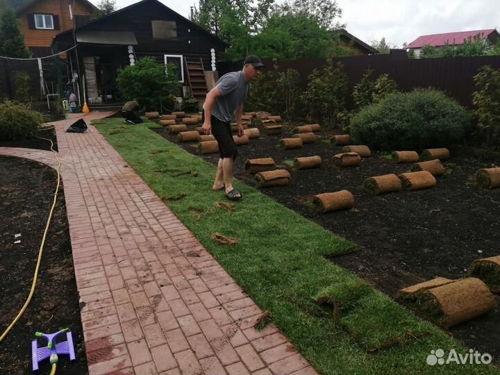 Рулонный газон с доставкой