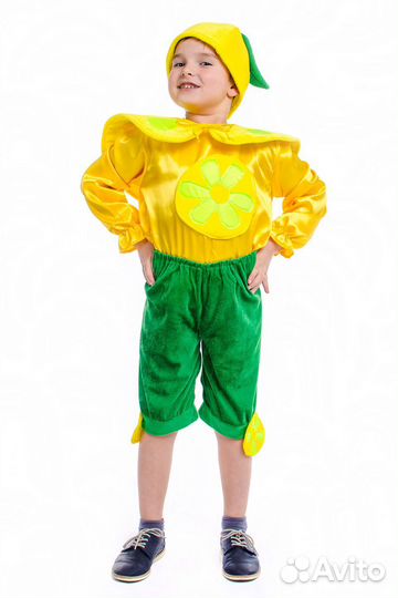 Карнавальные костюмы фруктов- прокат