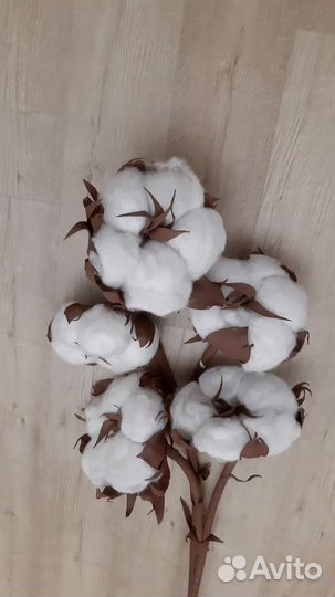 Хлопок декоративный