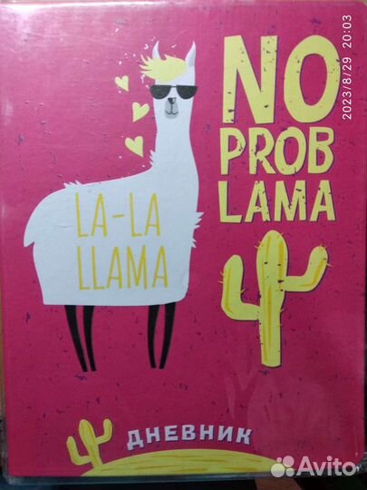 Дневник школьный