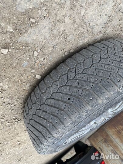Gislaved Nord Frost 200 175/70 R14