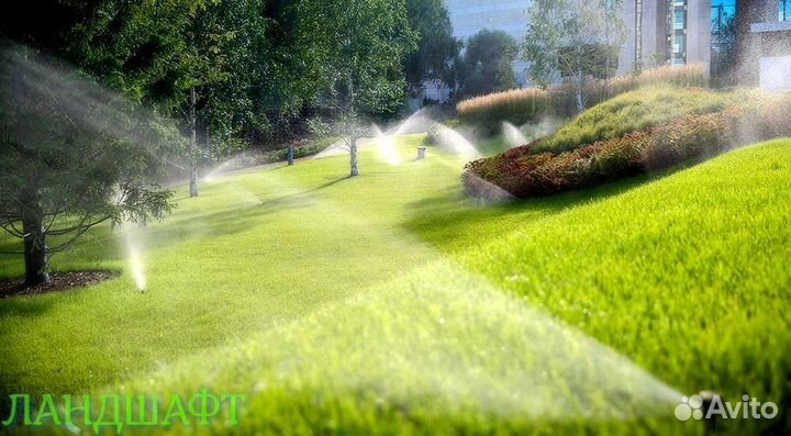 Парковый рулонный газон с укладкой Подольск