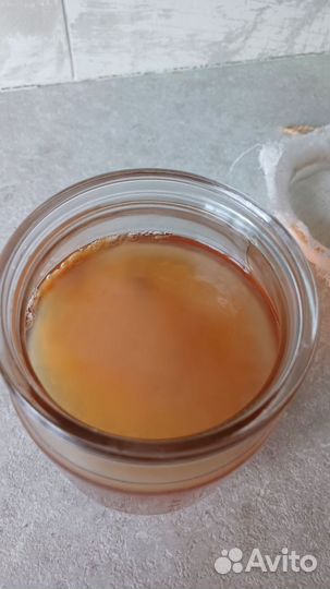 Чайный гриб комбуча