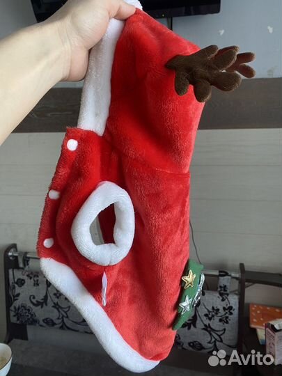 Костюм для кошек