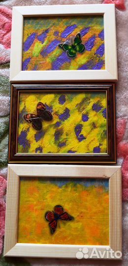 Бабочки. размер 16,5*21.5-картины