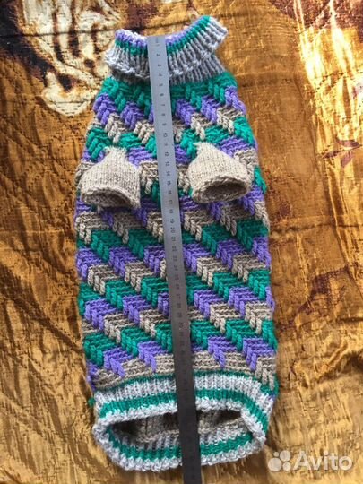 Одежда для собак