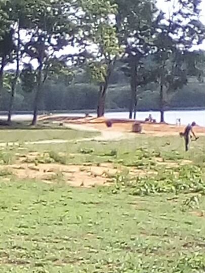 2-к. квартира, 41 м², 1/2 эт.