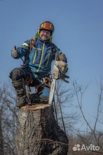 Спилить, удалить или обрезать деревья в Конаково