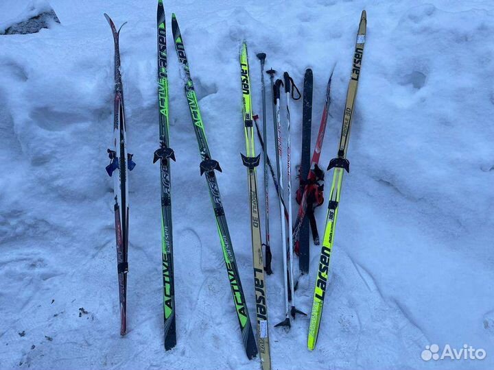 Беговые лыжи