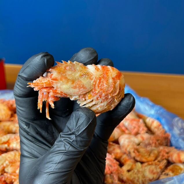 Креветка Морской дракон 70/90 с доставкой