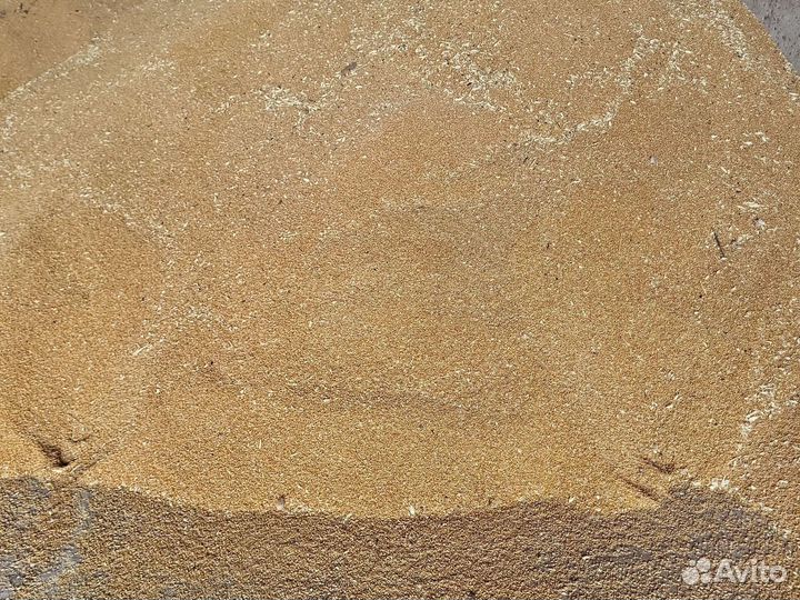 Зерно пшеница ячмень