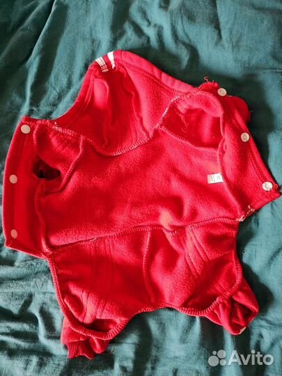 Одежда для собак