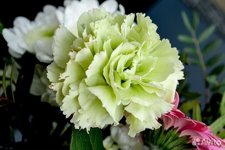 Доставка цветов. Гвоздики