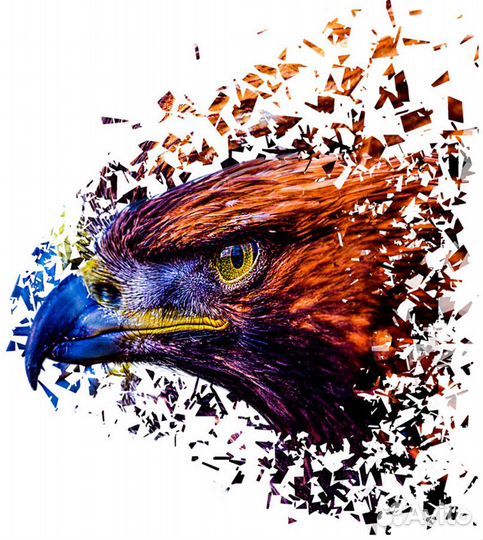 Шаблоны/макеты для печати на футболках и кружках