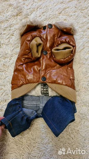 Комбинезон для собаки