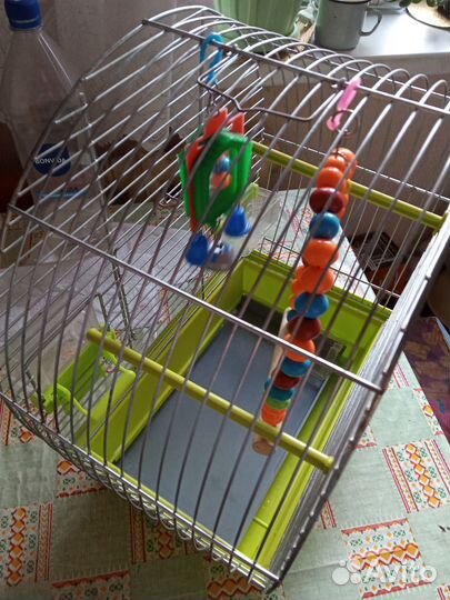 Клетка для попугая или птиц