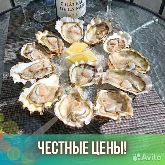 Живые устрицы