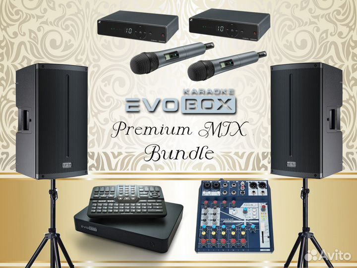 Комплект караоке для дома Evo Premium MIX Bundle