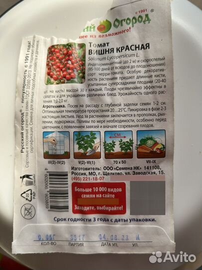 Рассада помидор 20